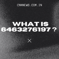 6463276197